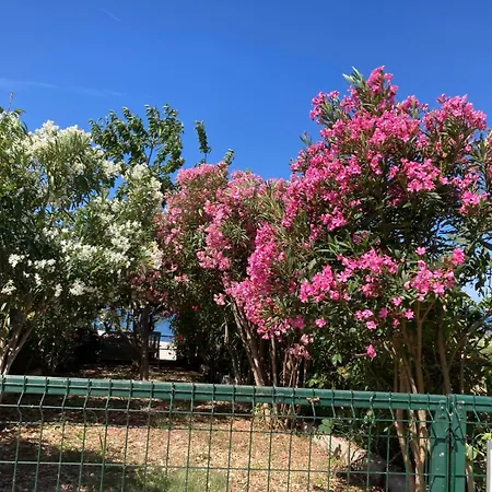 Natali דירה *