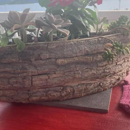 Apartment Natali Sveti Petar (Zadar)