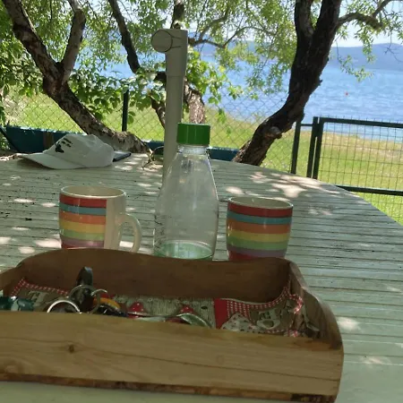 Natali Sveti Petar (Zadar)