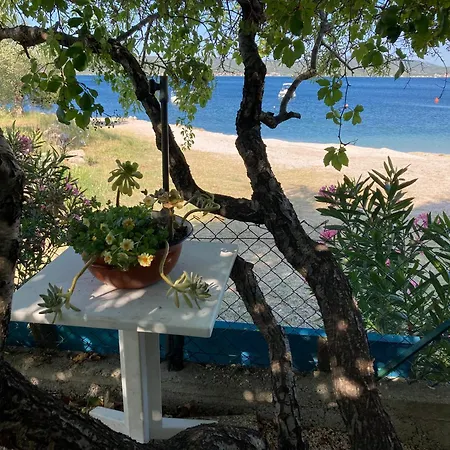 Appartamento Natali Sveti Petar (Zadar)
