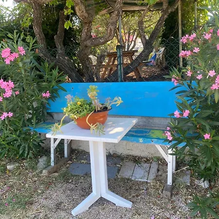 Natali Sveti Petar (Zadar)